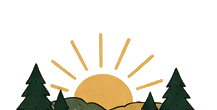 A sunrise over evergreen trees
