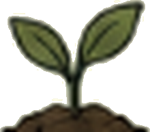 A seedling sprouting from soil